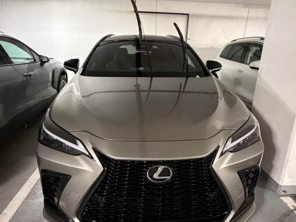 Lexus after exterior detail
